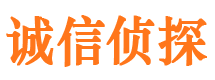 平阳市婚姻调查